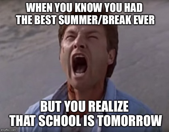 From the Best Time Ever to the Worst | WHEN YOU KNOW YOU HAD THE BEST SUMMER/BREAK EVER; BUT YOU REALIZE THAT SCHOOL IS TOMORROW | image tagged in nooooo | made w/ Imgflip meme maker