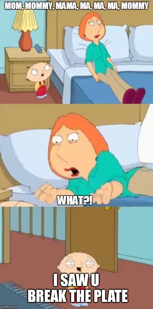family guy mommy | I SAW U BREAK THE PLATE | image tagged in family guy mommy | made w/ Imgflip meme maker