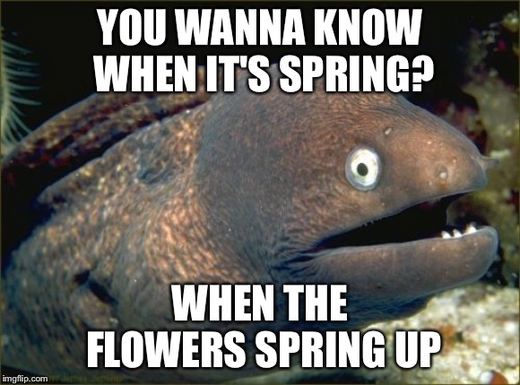 Springtime! | YOU WANNA KNOW WHEN IT'S SPRING? WHEN THE FLOWERS SPRING UP | image tagged in memes,bad joke eel | made w/ Imgflip meme maker