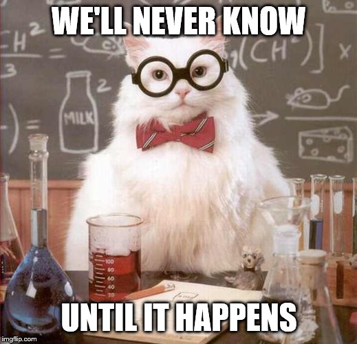cat scientist | WE'LL NEVER KNOW UNTIL IT HAPPENS | image tagged in cat scientist | made w/ Imgflip meme maker