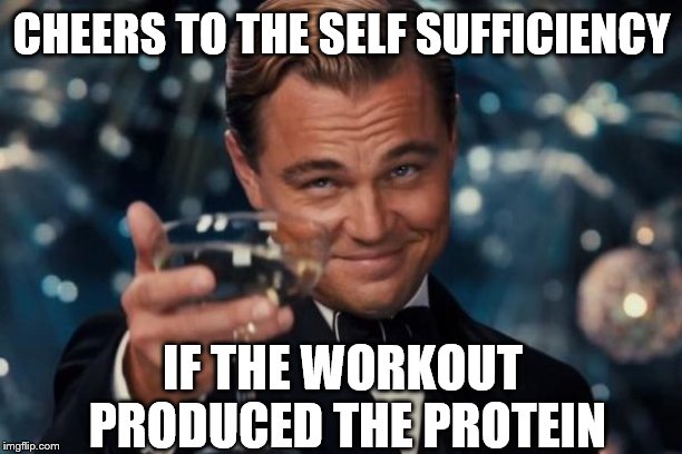 Leonardo Dicaprio Cheers Meme | CHEERS TO THE SELF SUFFICIENCY IF THE WORKOUT PRODUCED THE PROTEIN | image tagged in memes,leonardo dicaprio cheers | made w/ Imgflip meme maker