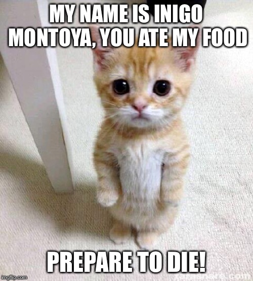 Cute Cat | MY NAME IS INIGO MONTOYA, YOU ATE MY FOOD; PREPARE TO DIE! | image tagged in memes,cute cat | made w/ Imgflip meme maker