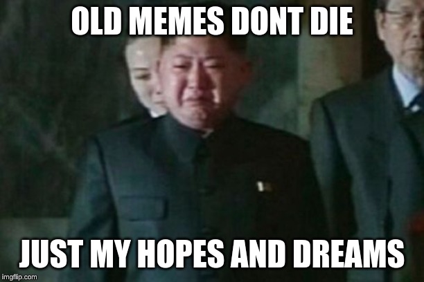 Kim Jong Un Sad Meme | OLD MEMES DONT DIE; JUST MY HOPES AND DREAMS | image tagged in memes,kim jong un sad | made w/ Imgflip meme maker