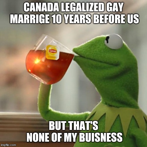 But That's None Of My Business | CANADA LEGALIZED GAY MARRIGE 10 YEARS BEFORE US; BUT THAT'S NONE OF MY BUISNESS | image tagged in memes,but thats none of my business,kermit the frog | made w/ Imgflip meme maker