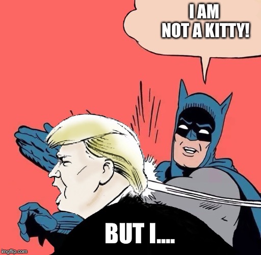 Batman slaps Trump | I AM NOT A KITTY! BUT I.... | image tagged in batman slaps trump,kitty | made w/ Imgflip meme maker