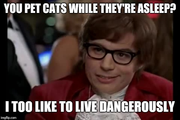 I Too Like To Live Dangerously | YOU PET CATS WHILE THEY'RE ASLEEP? I TOO LIKE TO LIVE DANGEROUSLY | image tagged in memes,i too like to live dangerously,cats | made w/ Imgflip meme maker