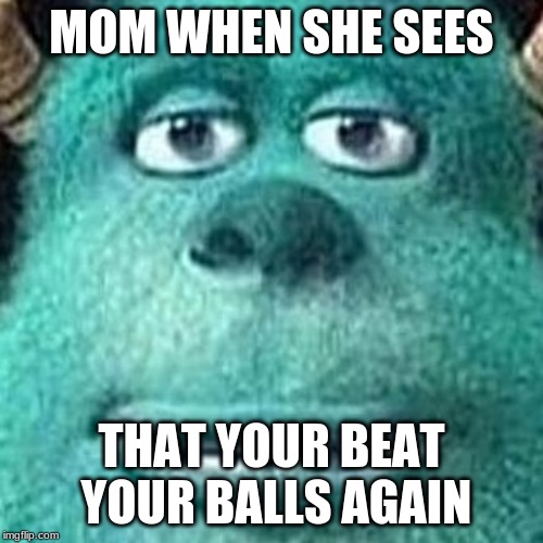 Mom Every Day | MOM WHEN SHE SEES; THAT YOUR BEAT YOUR BALLS AGAIN | image tagged in sully,beatmymeat,mom | made w/ Imgflip meme maker