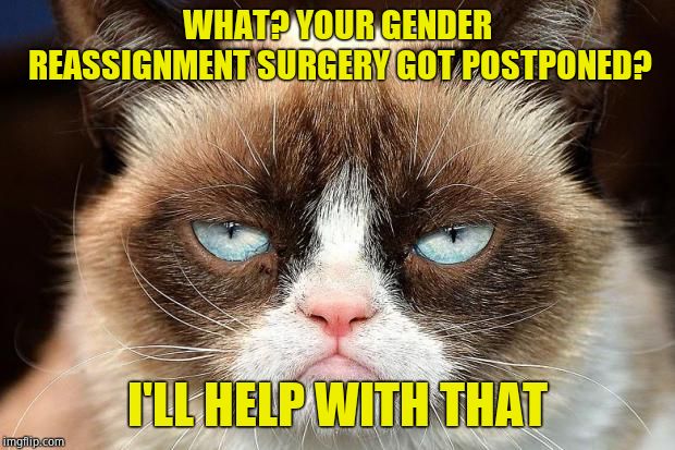 Grumpy Cat Not Amused | WHAT? YOUR GENDER REASSIGNMENT SURGERY GOT POSTPONED? I'LL HELP WITH THAT | image tagged in memes,grumpy cat not amused,grumpy cat | made w/ Imgflip meme maker