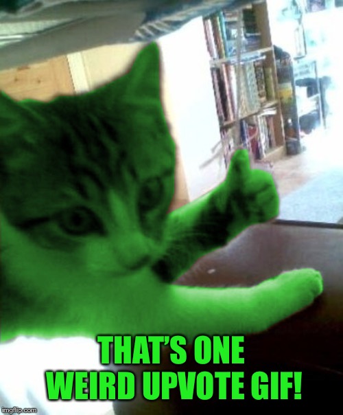 thumbs up RayCat | THAT’S ONE WEIRD UPVOTE GIF! | image tagged in thumbs up raycat | made w/ Imgflip meme maker