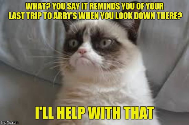Grumpy cat | WHAT? YOU SAY IT REMINDS YOU OF YOUR LAST TRIP TO ARBY'S WHEN YOU LOOK DOWN THERE? I'LL HELP WITH THAT | image tagged in grumpy cat | made w/ Imgflip meme maker