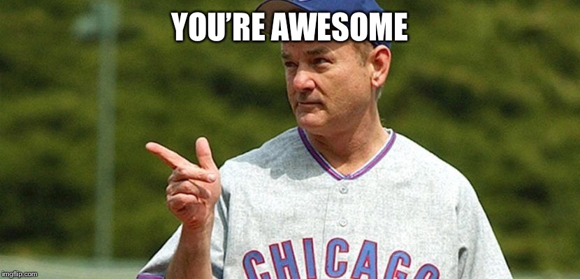 chicago cubs bill murray | YOU’RE AWESOME | image tagged in chicago cubs bill murray | made w/ Imgflip meme maker