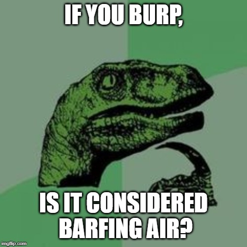 Time raptor  | IF YOU BURP, IS IT CONSIDERED BARFING AIR? | image tagged in time raptor | made w/ Imgflip meme maker