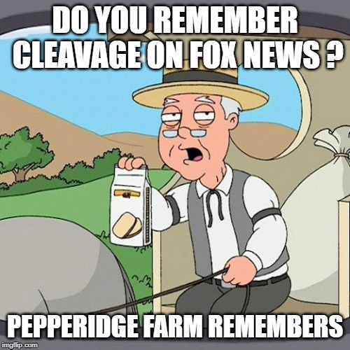 Pepperidge Farm Remembers Meme | DO YOU REMEMBER CLEAVAGE ON FOX NEWS ? PEPPERIDGE FARM REMEMBERS | image tagged in memes,pepperidge farm remembers | made w/ Imgflip meme maker