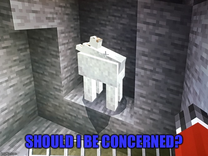 This is just plain wrong | SHOULD I BE CONCERNED? | image tagged in minecraft,llama,glitch,exorcist | made w/ Imgflip meme maker