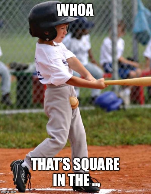 baseball | WHOA THAT’S SQUARE IN THE .., | image tagged in baseball | made w/ Imgflip meme maker