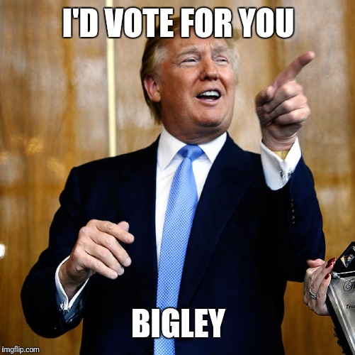 Donal Trump Birthday | I'D VOTE FOR YOU BIGLEY | image tagged in donal trump birthday | made w/ Imgflip meme maker
