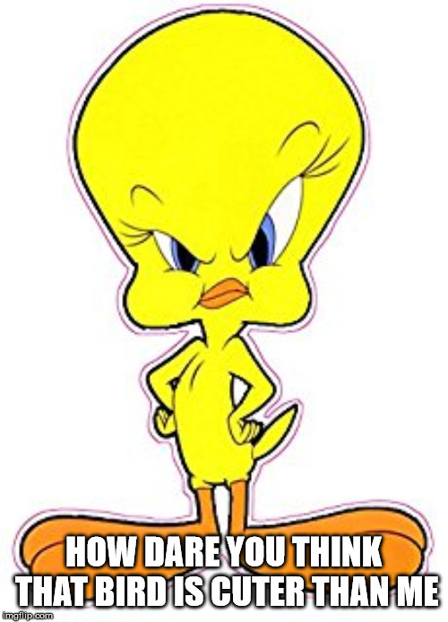 Tweety Bird | HOW DARE YOU THINK THAT BIRD IS CUTER THAN ME | image tagged in tweety bird | made w/ Imgflip meme maker