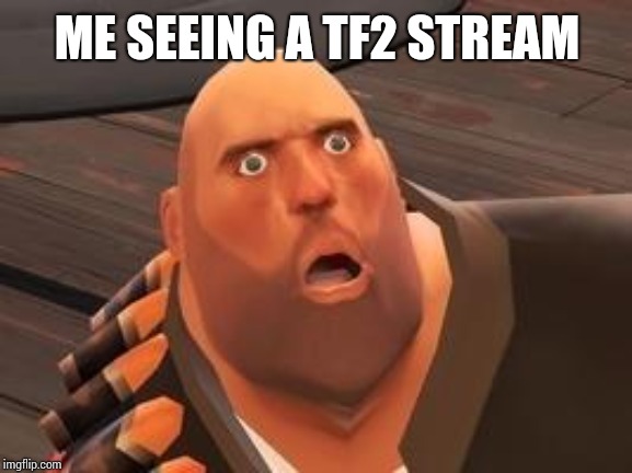 TF2 Heavy | ME SEEING A TF2 STREAM | image tagged in tf2 heavy | made w/ Imgflip meme maker