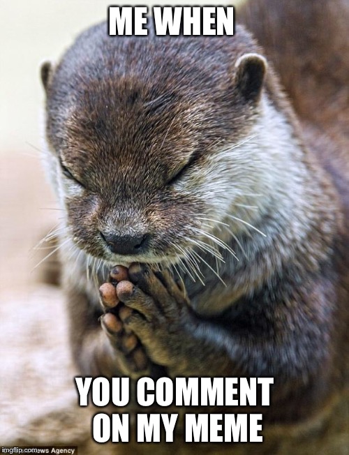 Thank you Lord Otter | ME WHEN YOU COMMENT ON MY MEME | image tagged in thank you lord otter | made w/ Imgflip meme maker