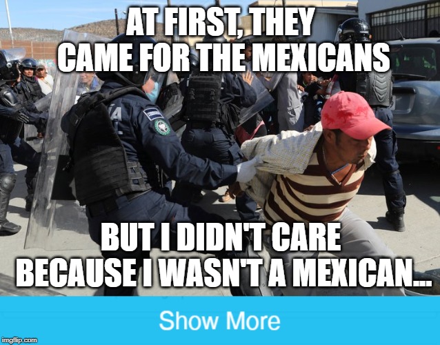 Then they came for me. | AT FIRST, THEY CAME FOR THE MEXICANS; BUT I DIDN'T CARE BECAUSE I WASN'T A MEXICAN... | image tagged in immigration,trump,nationalism | made w/ Imgflip meme maker