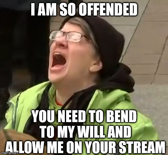 We are made to care. | I AM SO OFFENDED; YOU NEED TO BEND TO MY WILL AND ALLOW ME ON YOUR STREAM | image tagged in snowflake | made w/ Imgflip meme maker