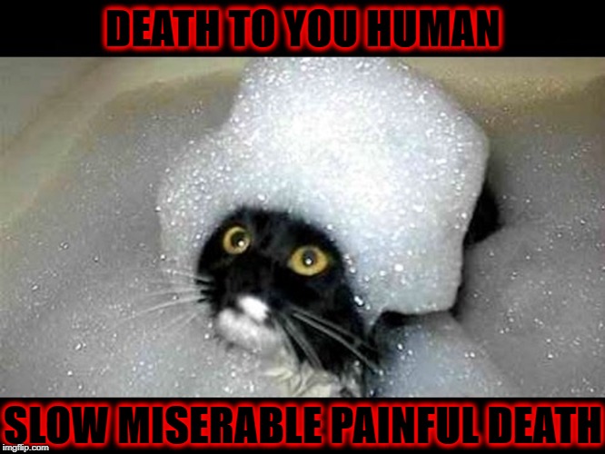 DEATH TO YOU | DEATH TO YOU HUMAN; SLOW MISERABLE PAINFUL DEATH | image tagged in death to you | made w/ Imgflip meme maker