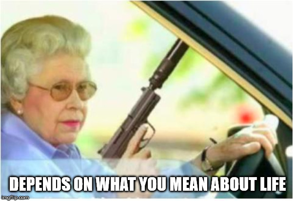 grandma gun weeb killer | DEPENDS ON WHAT YOU MEAN ABOUT LIFE | image tagged in grandma gun weeb killer | made w/ Imgflip meme maker