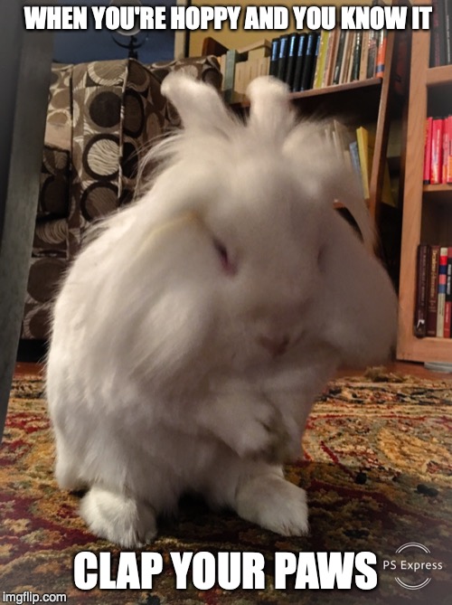 Clap Your Paws | WHEN YOU'RE HOPPY AND YOU KNOW IT; CLAP YOUR PAWS | image tagged in bunnies,rabbits,inspirational,happiness | made w/ Imgflip meme maker