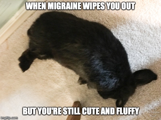 Exhaustion! | WHEN MIGRAINE WIPES YOU OUT; BUT YOU'RE STILL CUTE AND FLUFFY | image tagged in animals,bunnies,rabbits,migraine,inspirational | made w/ Imgflip meme maker