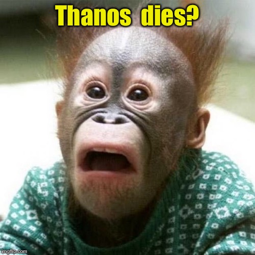 Spoiler Alert! | Thanos  dies? | image tagged in shocked monkey,avengers endgame,spoiler alert | made w/ Imgflip meme maker