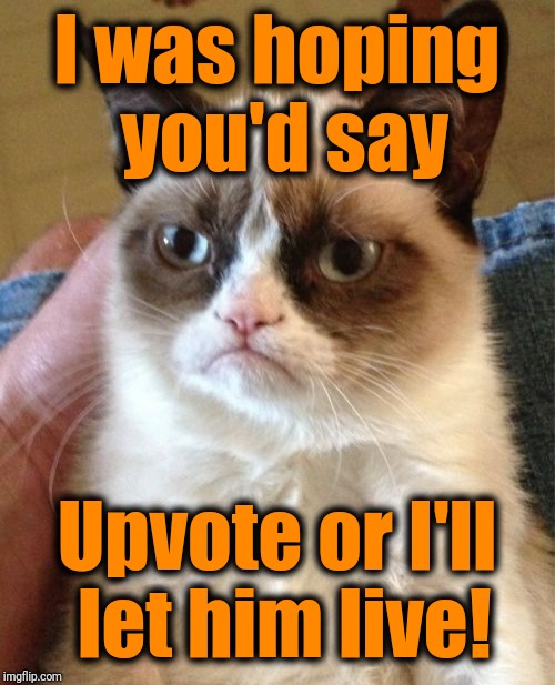 Grumpy Cat Meme | I was hoping you'd say Upvote or I'll let him live! | image tagged in memes,grumpy cat | made w/ Imgflip meme maker