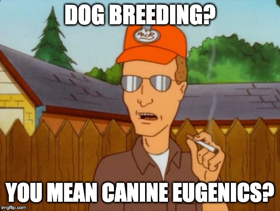 I'll bet the Nazis invented it too... |  DOG BREEDING? YOU MEAN CANINE EUGENICS? | image tagged in dale gribble,dog breeding,purebred,dog,canine,eugenics | made w/ Imgflip meme maker