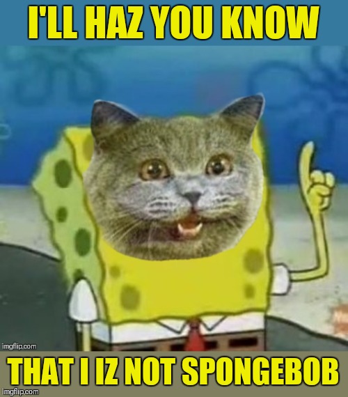 You haz been told | I'LL HAZ YOU KNOW; THAT I IZ NOT SPONGEBOB | image tagged in memes,spongbob week,i can has cheezburger cat,44colt | made w/ Imgflip meme maker