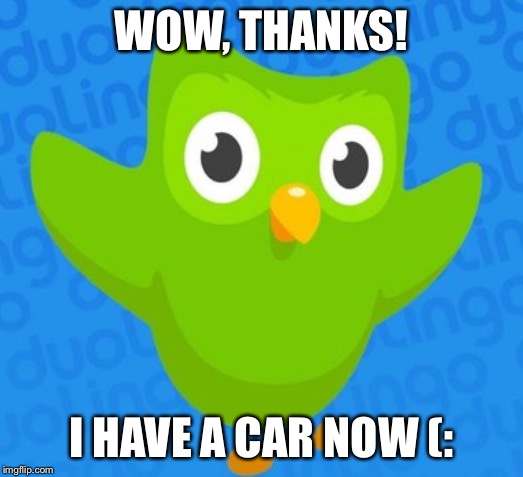 duolingo bird | WOW, THANKS! I HAVE A CAR NOW (: | image tagged in duolingo bird | made w/ Imgflip meme maker