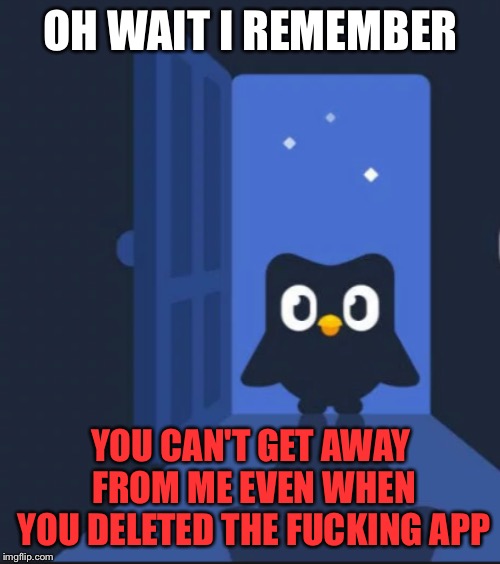 Duolingo bird | OH WAIT I REMEMBER YOU CAN'T GET AWAY FROM ME EVEN WHEN YOU DELETED THE F**KING APP | image tagged in duolingo bird | made w/ Imgflip meme maker