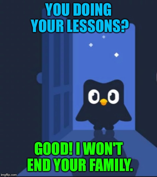 Duolingo bird | YOU DOING YOUR LESSONS? GOOD! I WON'T END YOUR FAMILY. | image tagged in duolingo bird | made w/ Imgflip meme maker