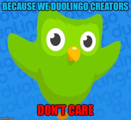 duolingo bird | BECAUSE WE DUOLINGO CREATORS DON'T CARE | image tagged in duolingo bird | made w/ Imgflip meme maker