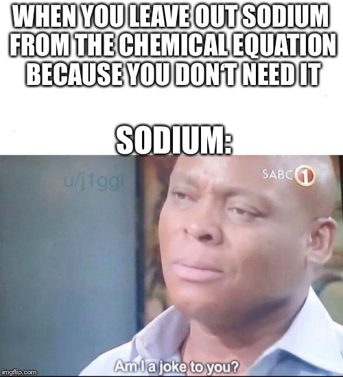 am I a joke to you | WHEN YOU LEAVE OUT SODIUM FROM THE CHEMICAL EQUATION BECAUSE YOU DON‘T NEED IT; SODIUM: | image tagged in am i a joke to you | made w/ Imgflip meme maker