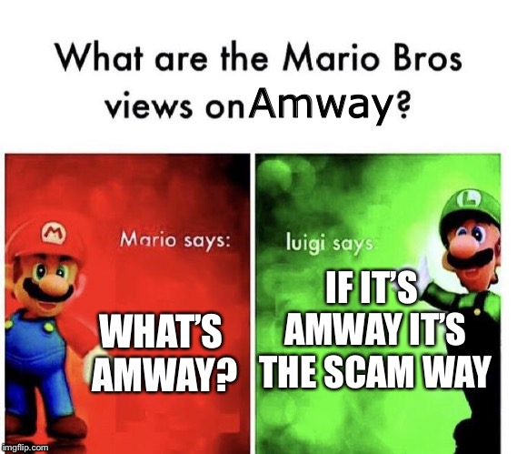 Thanks, Luigi. | Amway; IF IT’S AMWAY IT’S THE SCAM WAY; WHAT’S AMWAY? | image tagged in mario bros views | made w/ Imgflip meme maker