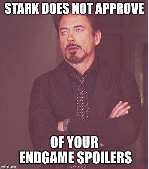 Face You Make Robert Downey Jr | STARK DOES NOT APPROVE; OF YOUR ENDGAME SPOILERS | image tagged in memes,face you make robert downey jr | made w/ Imgflip meme maker