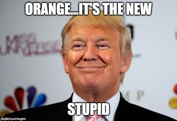 Donald trump approves | ORANGE...IT'S THE NEW; STUPID | image tagged in donald trump approves | made w/ Imgflip meme maker