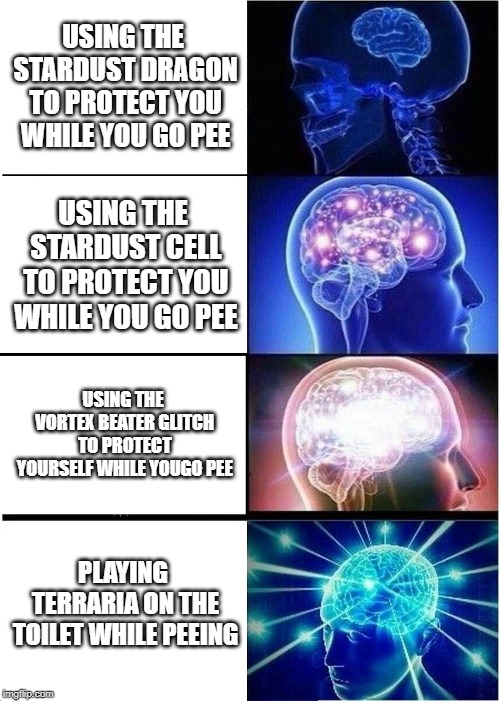 Expanding Brain | USING THE STARDUST DRAGON TO PROTECT YOU WHILE YOU GO PEE; USING THE STARDUST CELL TO PROTECT YOU WHILE YOU GO PEE; USING THE VORTEX BEATER GLITCH TO PROTECT YOURSELF WHILE YOUGO PEE; PLAYING TERRARIA ON THE TOILET WHILE PEEING | image tagged in memes,expanding brain | made w/ Imgflip meme maker