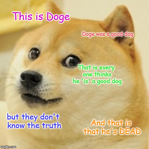 Doge | This is Doge; Doge was a good dog; That is every one thinks he 'is' a good dog; but they don't know the truth; And that is that he's DEAD | image tagged in memes,doge | made w/ Imgflip meme maker