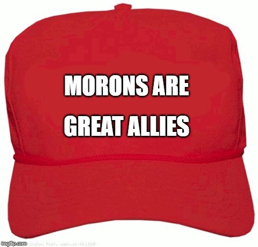 Red Hat | MORONS ARE; GREAT ALLIES | image tagged in red hat | made w/ Imgflip meme maker