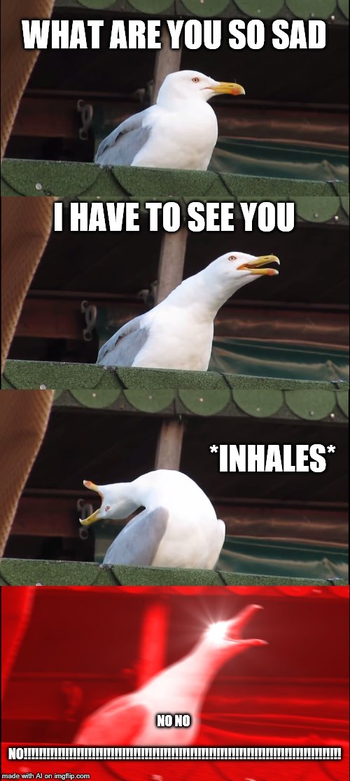 Inhaling Seagull | WHAT ARE YOU SO SAD; I HAVE TO SEE YOU; *INHALES*; NO NO NO!!!!!!!!!!!!!!!!!!!!!!!!!!!!!!!!!!!!!!!!!!!!!!!!!!!!!!!!!!!!!!!!!!!!!!!!!!!!!!!!!!!! | image tagged in memes,inhaling seagull | made w/ Imgflip meme maker