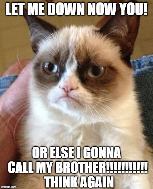 Grumpy Cat | LET ME DOWN NOW YOU! OR ELSE I GONNA CALL MY BROTHER!!!!!!!!!!! 
THINK AGAIN | image tagged in memes | made w/ Imgflip meme maker