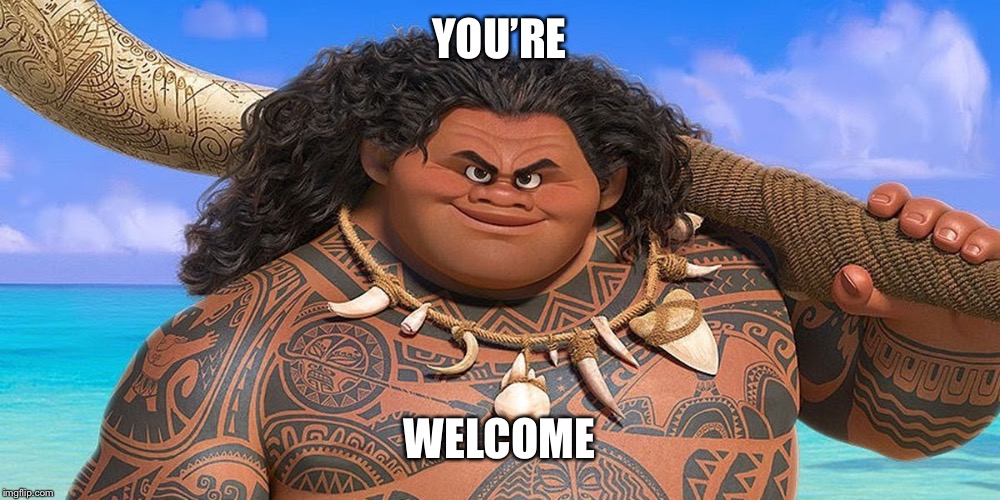 You’re welcome | YOU’RE WELCOME | image tagged in youre welcome | made w/ Imgflip meme maker