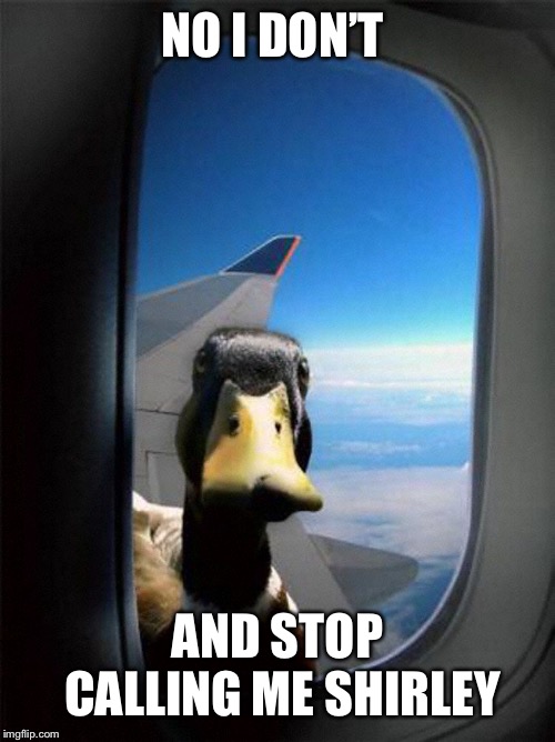 Airplane Duck | NO I DON’T AND STOP CALLING ME SHIRLEY | image tagged in airplane duck | made w/ Imgflip meme maker