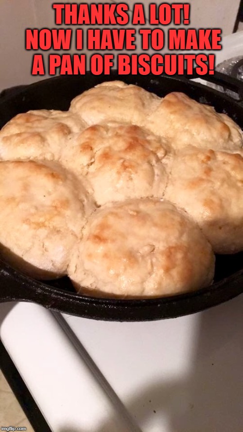 Biscuits | THANKS A LOT! NOW I HAVE TO MAKE A PAN OF BISCUITS! | image tagged in biscuits | made w/ Imgflip meme maker