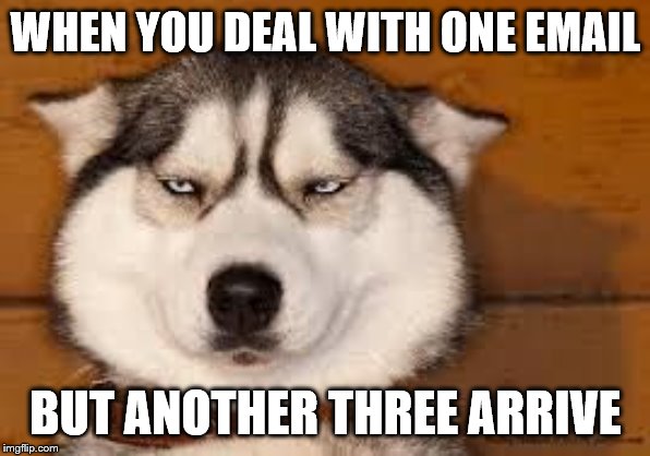 Not Amused | WHEN YOU DEAL WITH ONE EMAIL; BUT ANOTHER THREE ARRIVE | image tagged in not amused | made w/ Imgflip meme maker